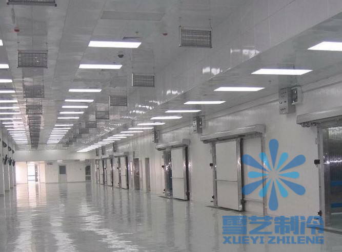   1000噸速凍冷庫價格多少錢？冷庫造價，1000噸速凍冷庫