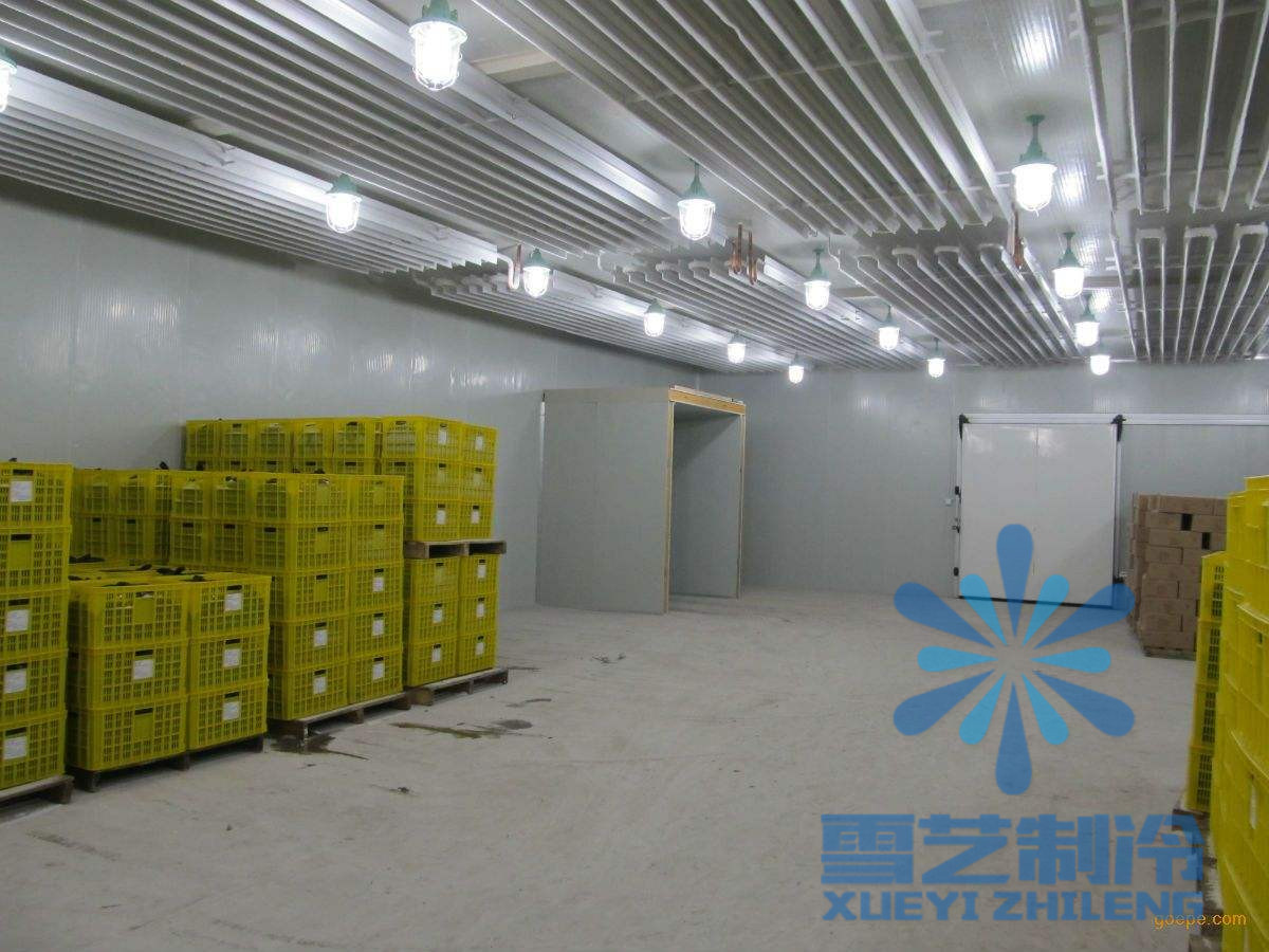 600立方氣調(diào)保鮮冷庫設(shè)計安裝，氣調(diào)保鮮冷庫