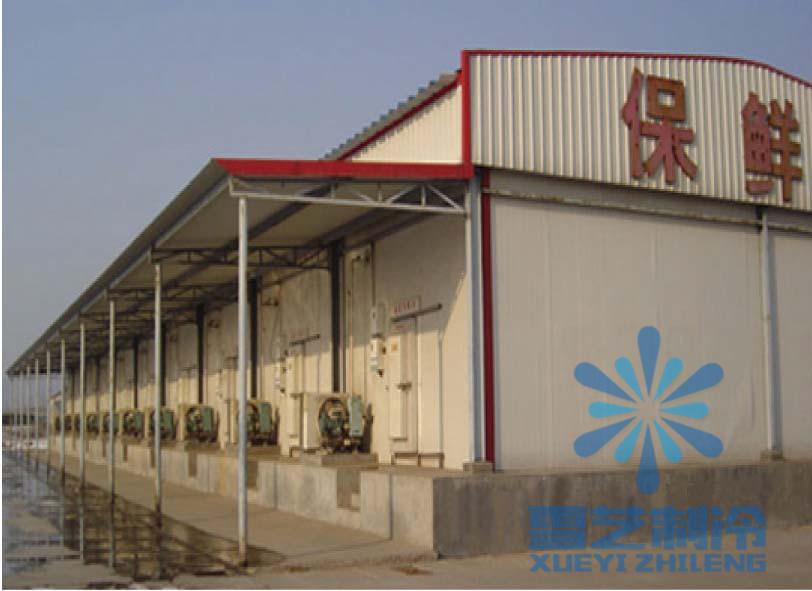 香蕉冷庫(kù)設(shè)計(jì)安裝,香蕉冷庫(kù)建造須知