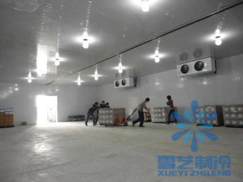 2000平方冷庫需要多少錢？冷庫設(shè)計安裝建造