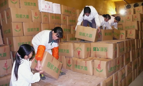 生姜冷庫(kù)