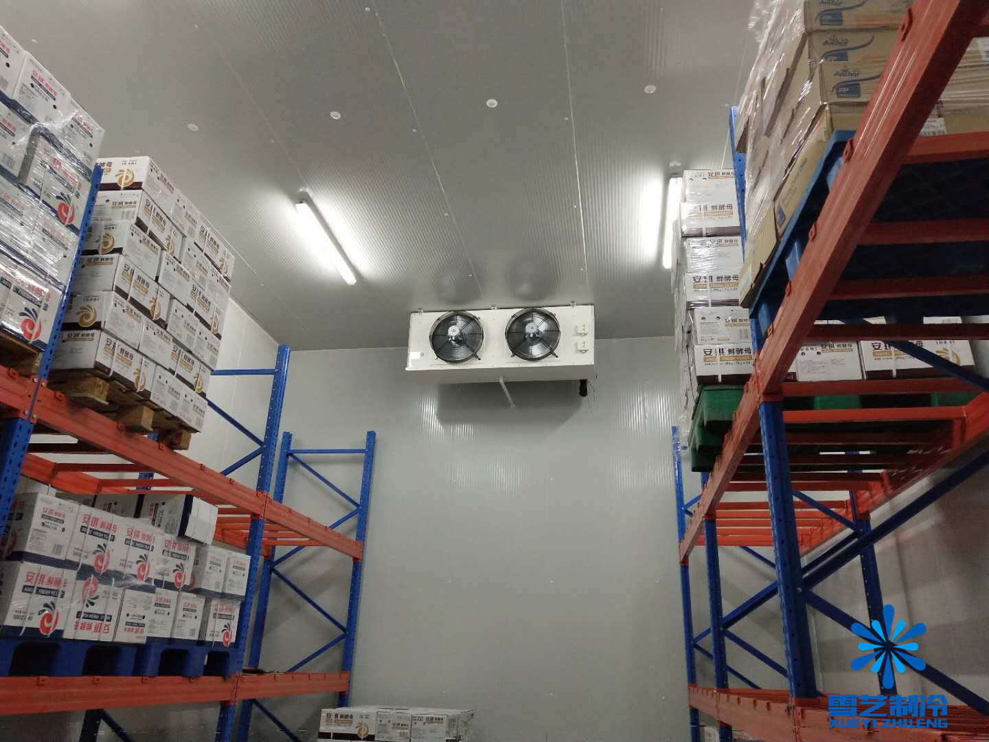 酵母冷庫，雪藝制冷建造