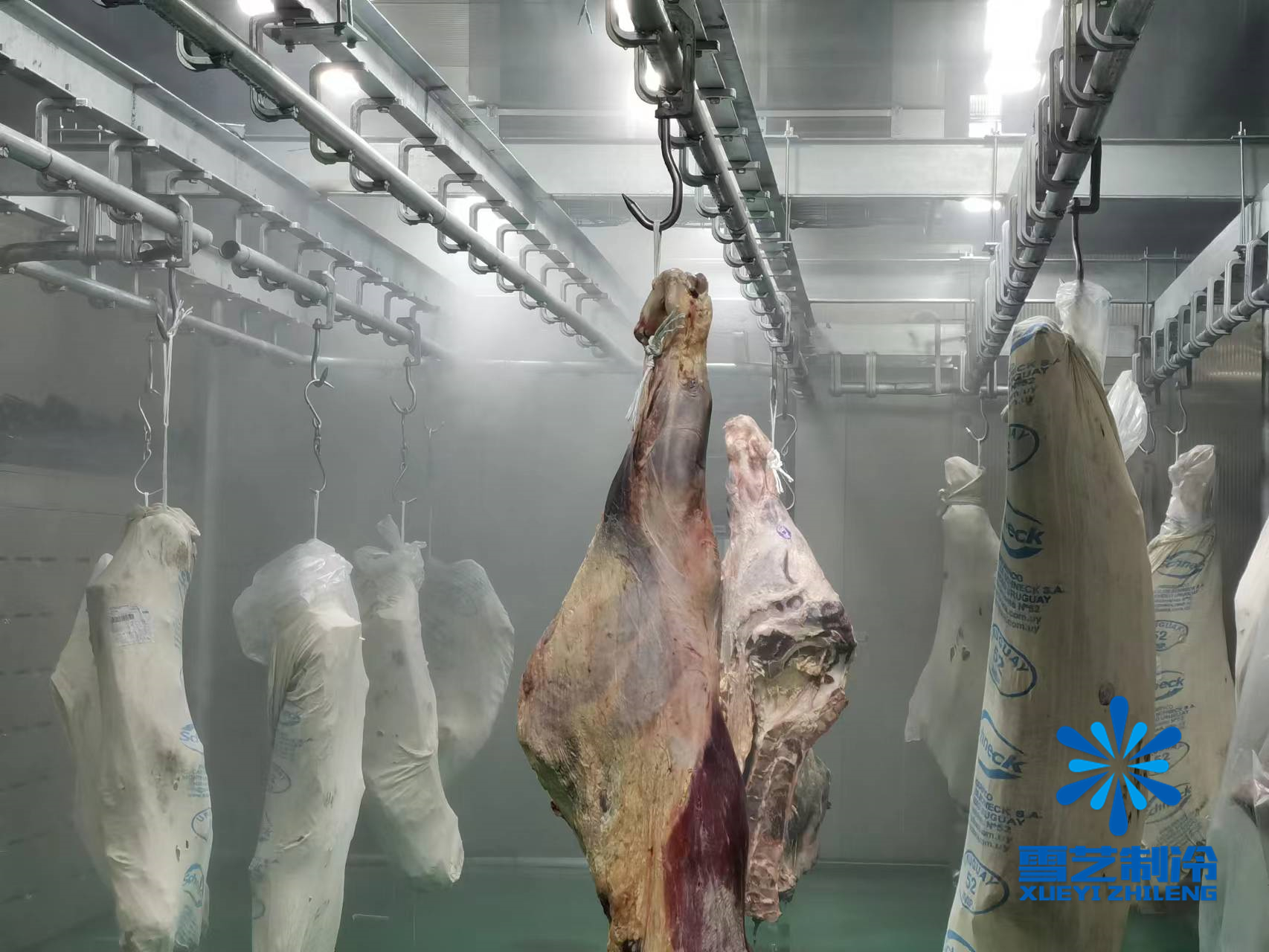 緩化庫，肉類解凍冷庫114.jpg