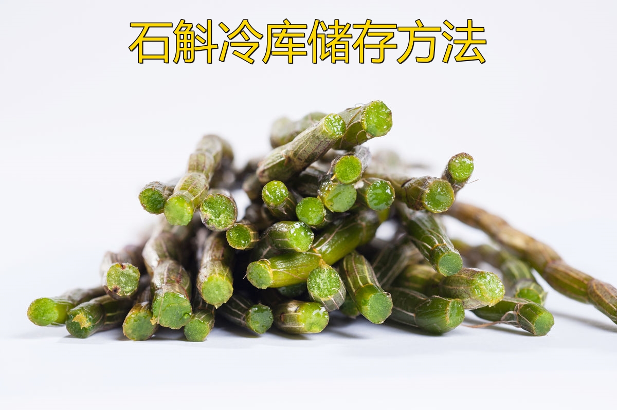 石斛冷庫(kù)