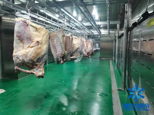 浙江海鮮肉類低溫高濕解凍庫、緩化庫工程案例